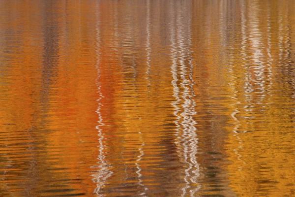 WA, Winthrop Autumn reflections on Beaver Pond